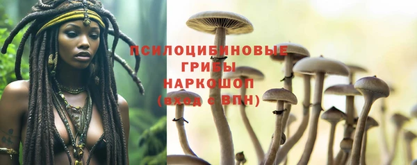 трава Вязники