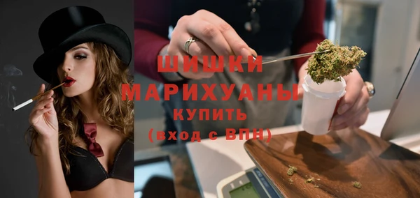 apvp Вяземский