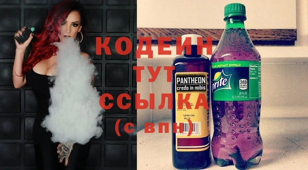 apvp Вяземский