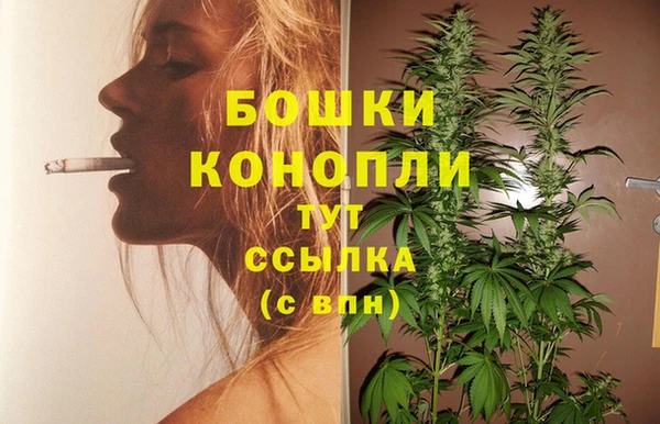 apvp Вяземский
